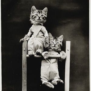 Meet your Posher, Jonathan